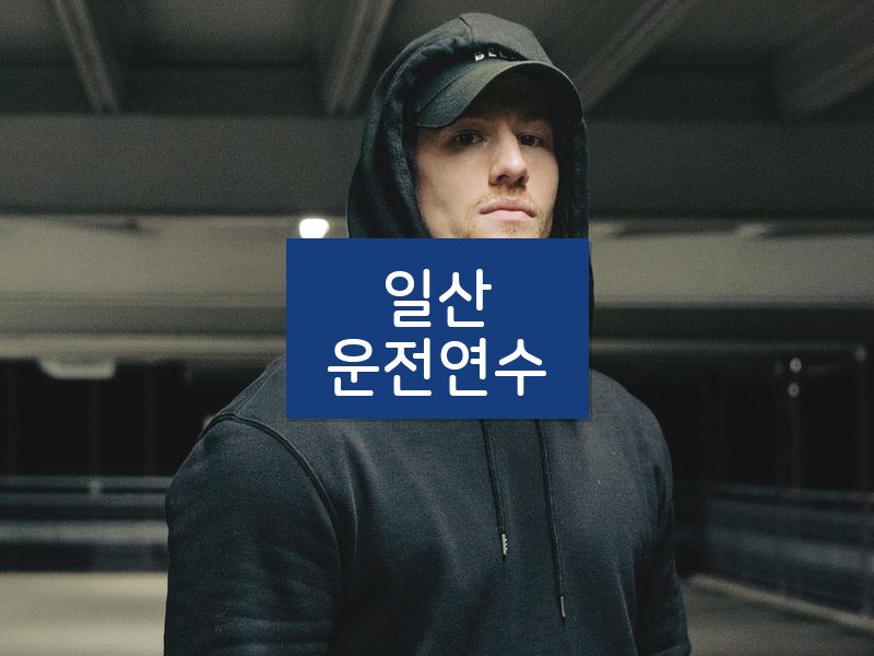 일산운전연수 후기