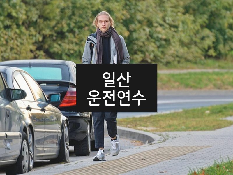 일산운전연수 후기