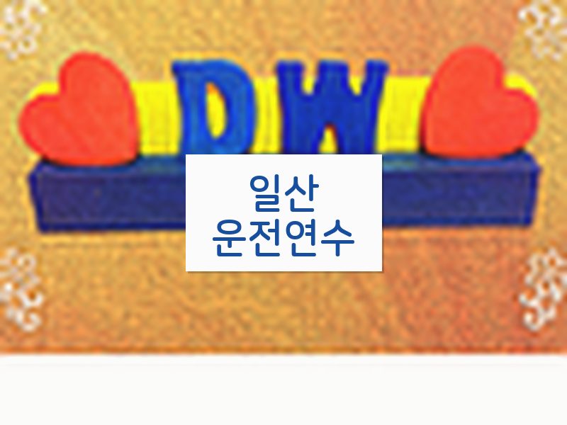 일산운전연수 후기