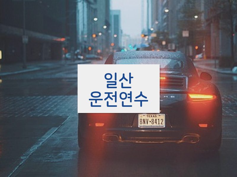 일산운전연수 후기