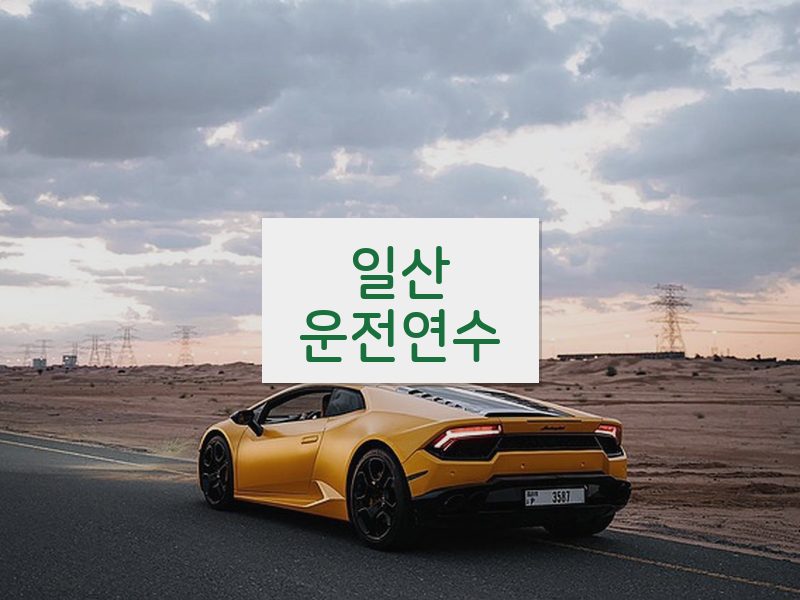 일산운전연수 후기