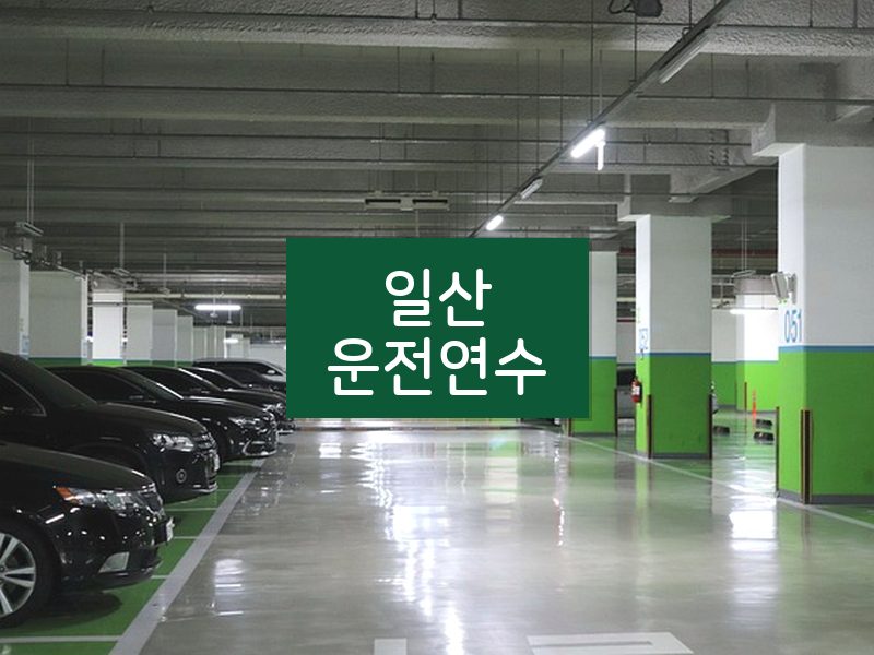 일산운전연수 후기