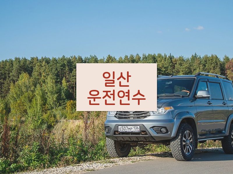 일산운전연수 후기