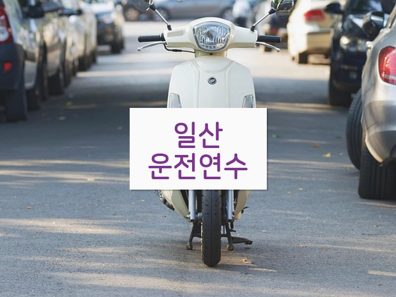 일산운전연수 후기
