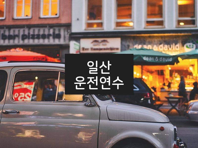 일산운전연수 후기