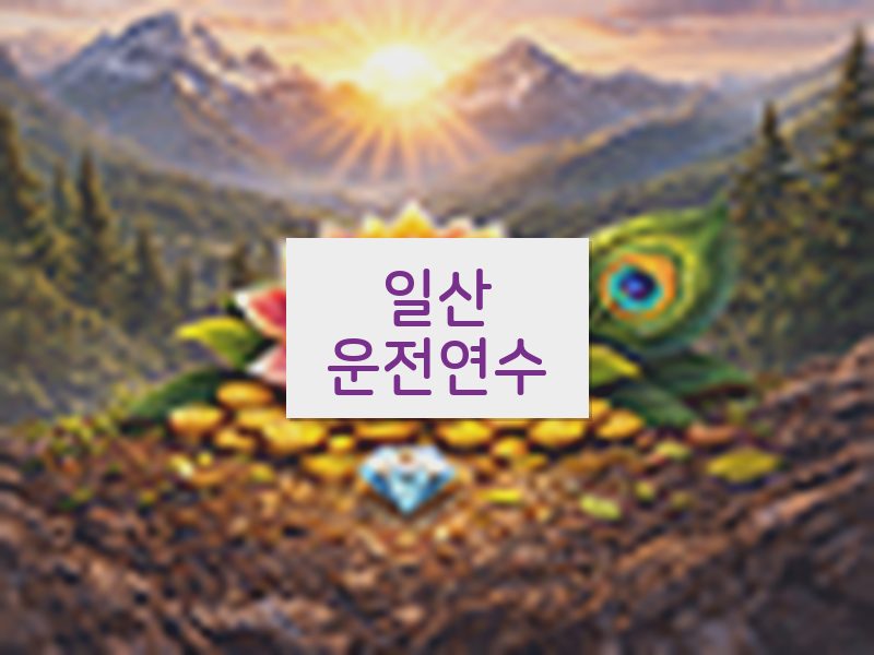 일산운전연수 후기