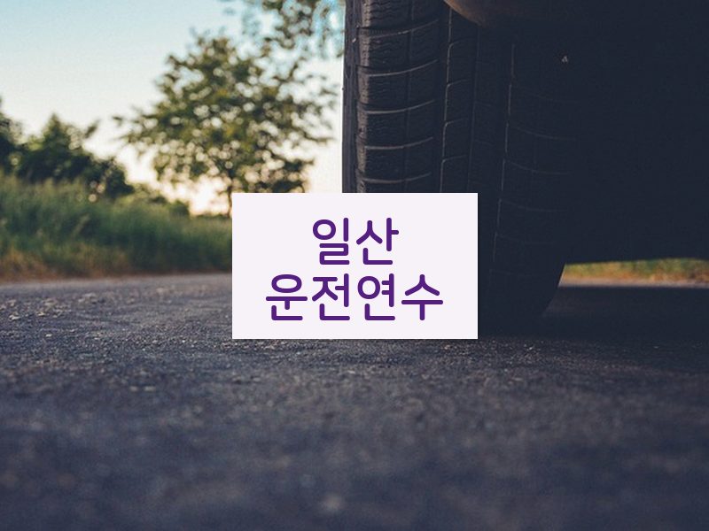 일산운전연수 후기
