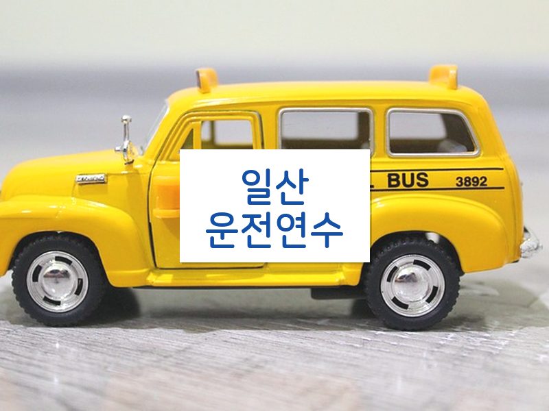 일산운전연수 후기