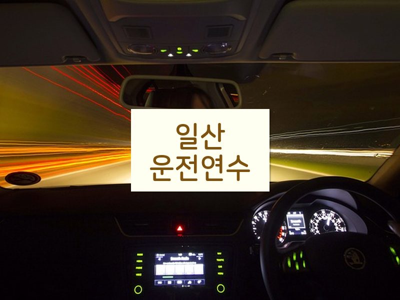 일산운전연수 후기