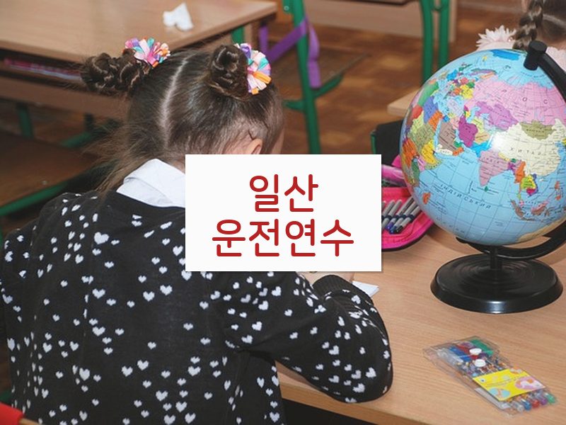 일산운전연수 후기