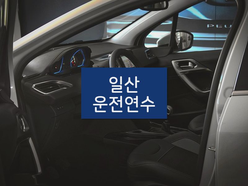일산운전연수 후기