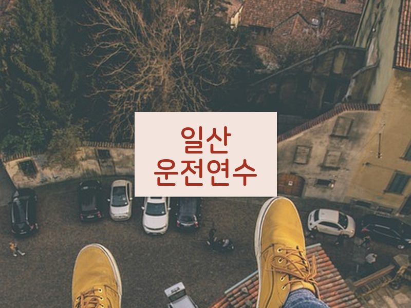 일산운전연수 후기