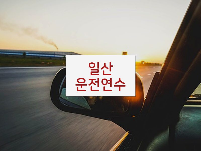 일산운전연수 후기