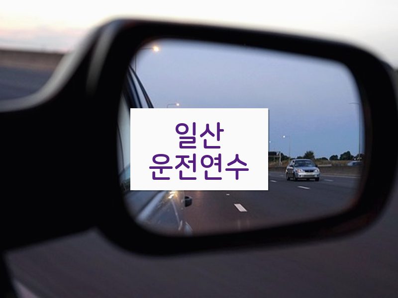 일산운전연수 후기