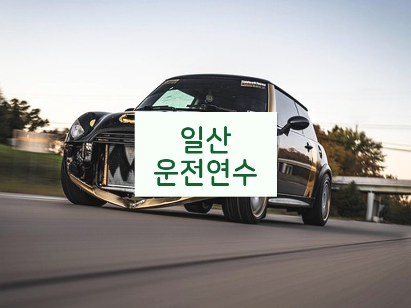일산운전연수 후기