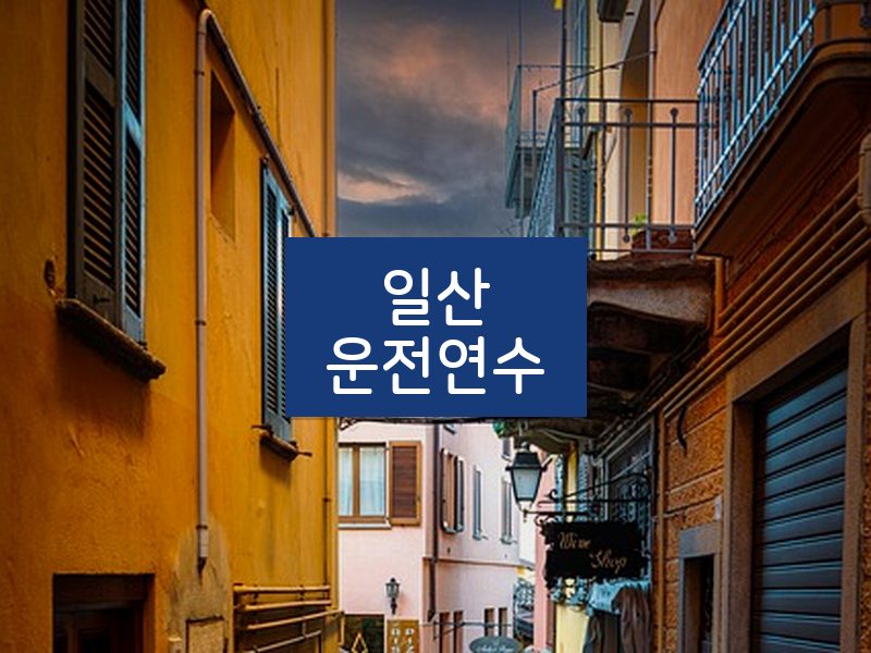일산운전연수 후기