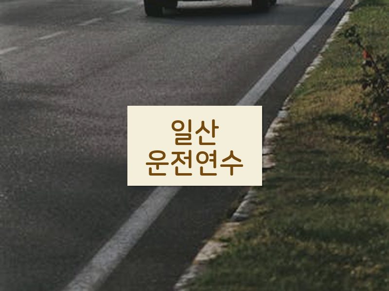일산운전연수 후기