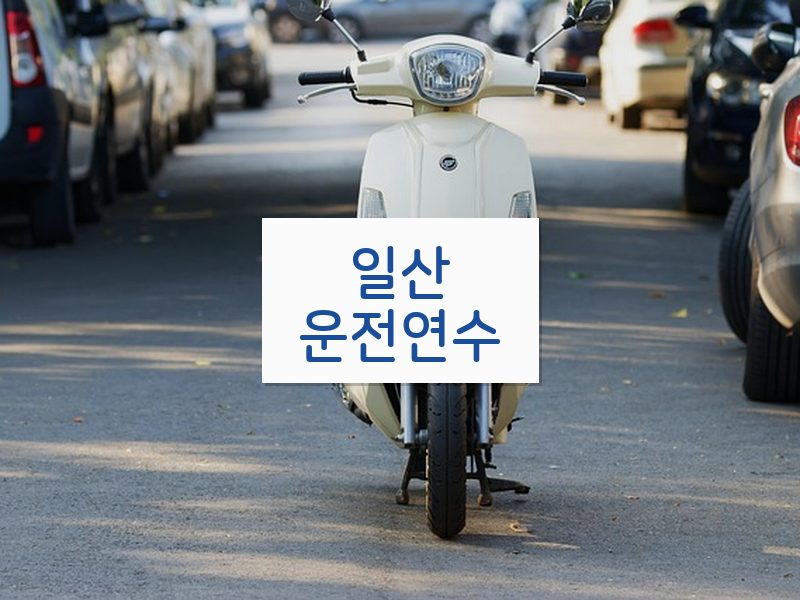 일산운전연수 후기