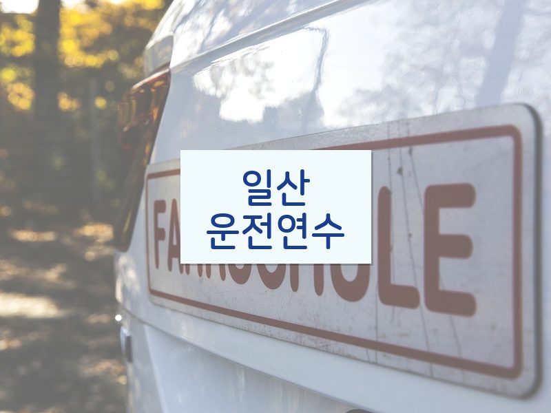 일산운전연수 후기