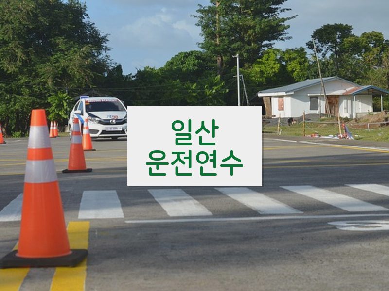 일산운전연수 후기