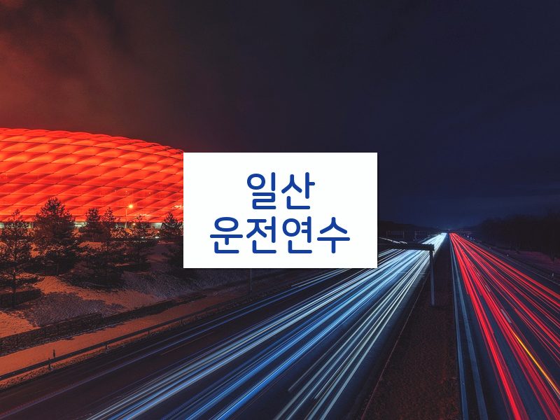 일산운전연수 후기