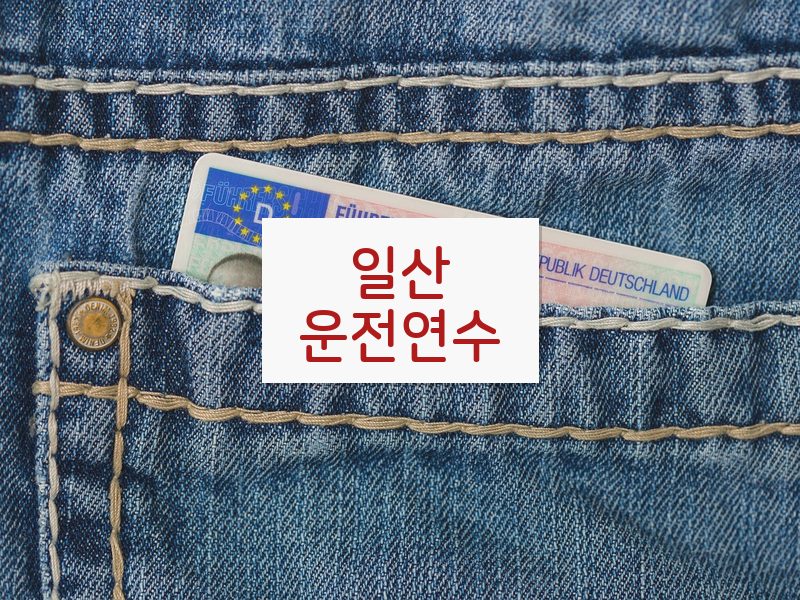 일산운전연수 후기