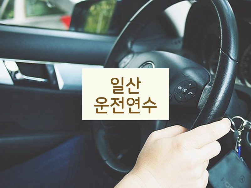 일산운전연수 후기