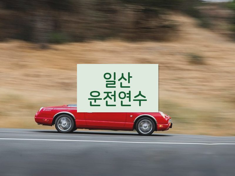 일산운전연수 후기