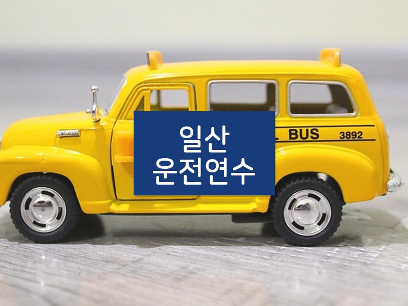 일산운전연수 후기