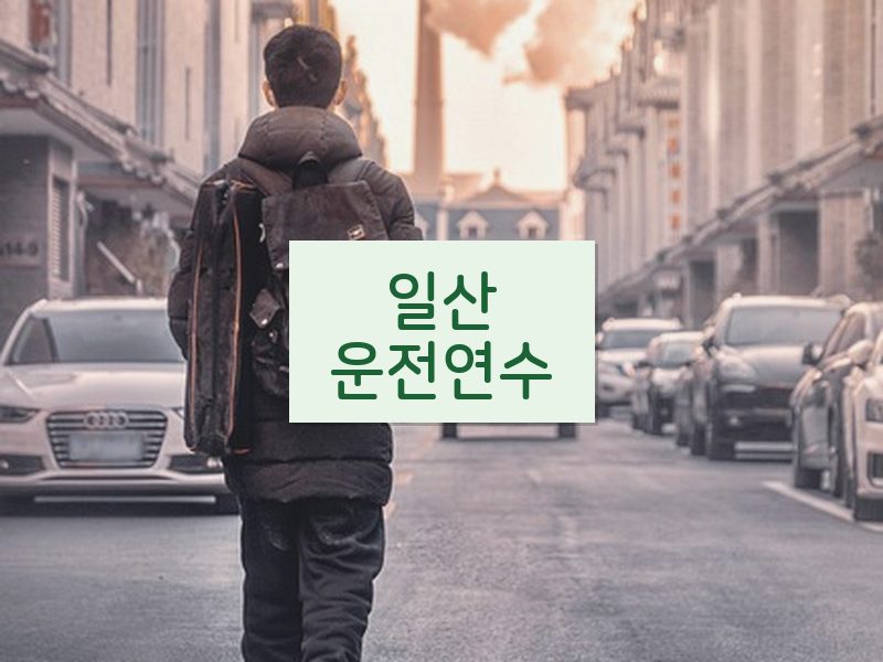 일산운전연수 후기