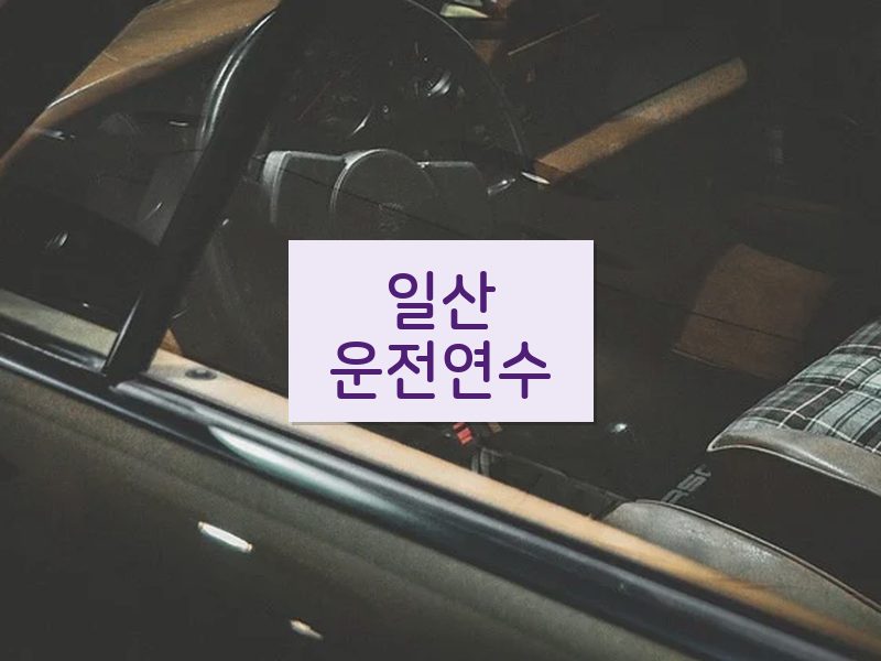 일산운전연수 후기