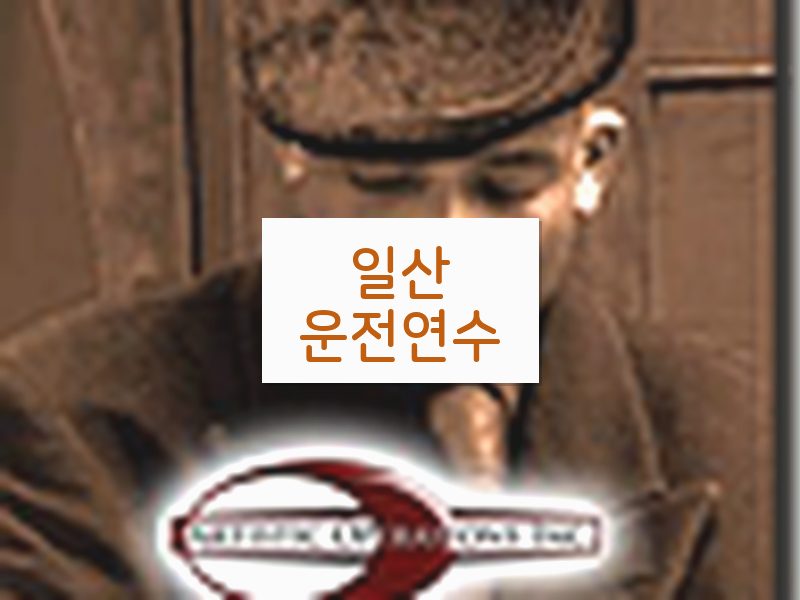 일산운전연수 후기