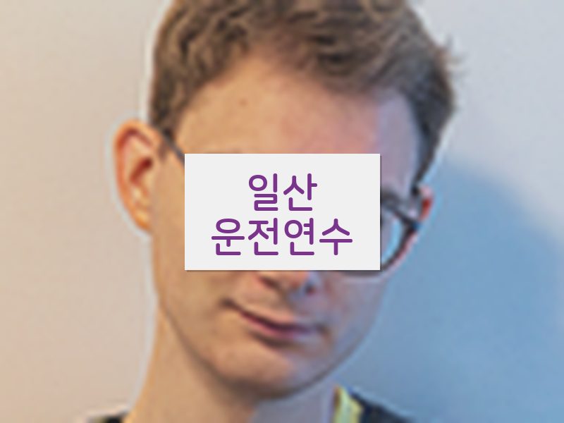 일산운전연수 후기