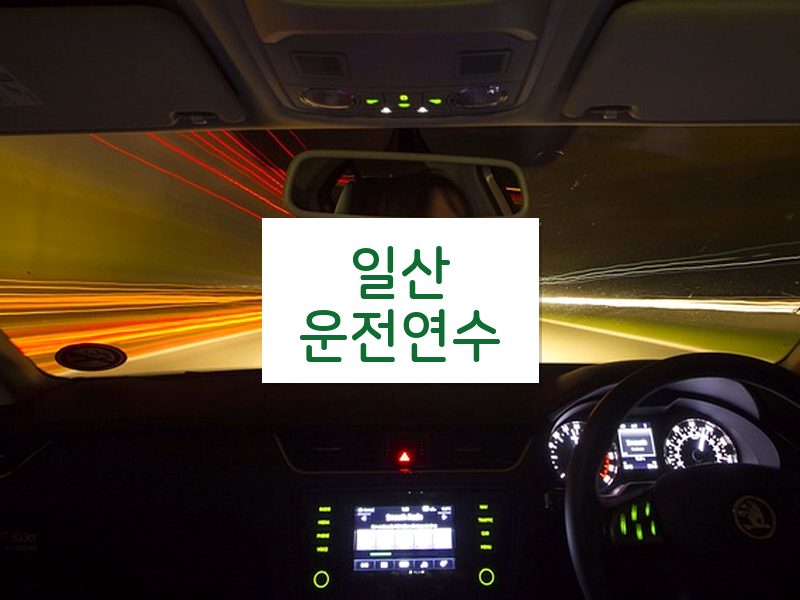 일산운전연수 후기