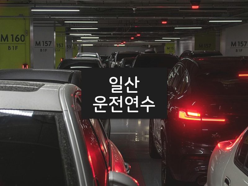 일산운전연수 후기