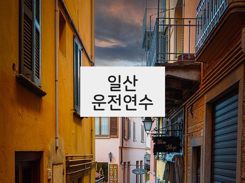 일산운전연수 후기