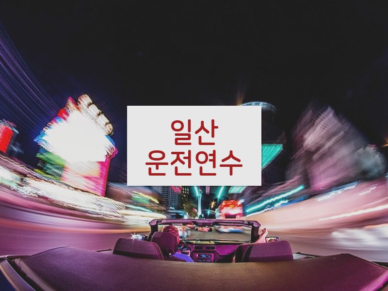 일산운전연수 후기