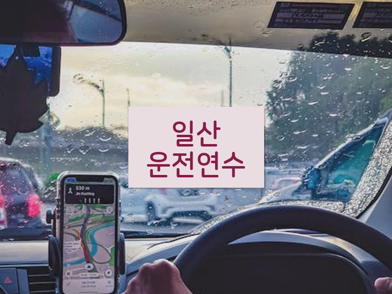 일산운전연수 후기