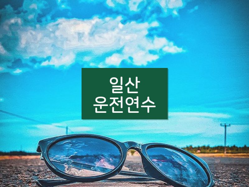 일산운전연수 후기