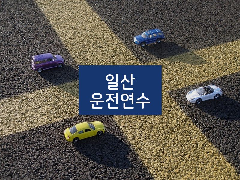 일산운전연수 후기