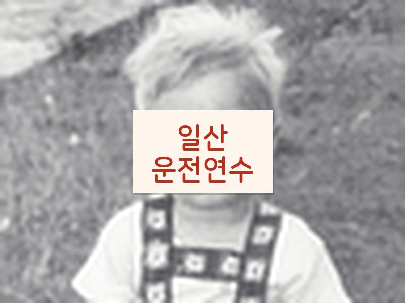 일산운전연수 후기