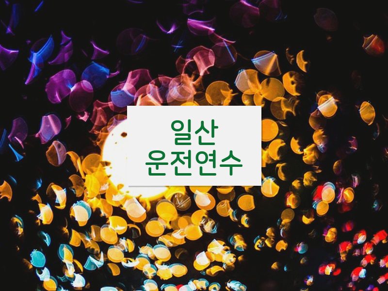 일산운전연수 후기
