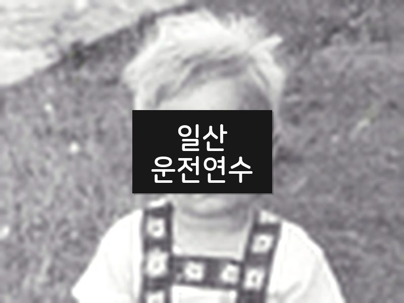 일산운전연수 후기