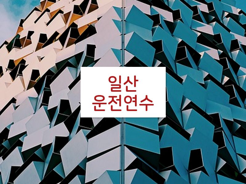일산운전연수 후기