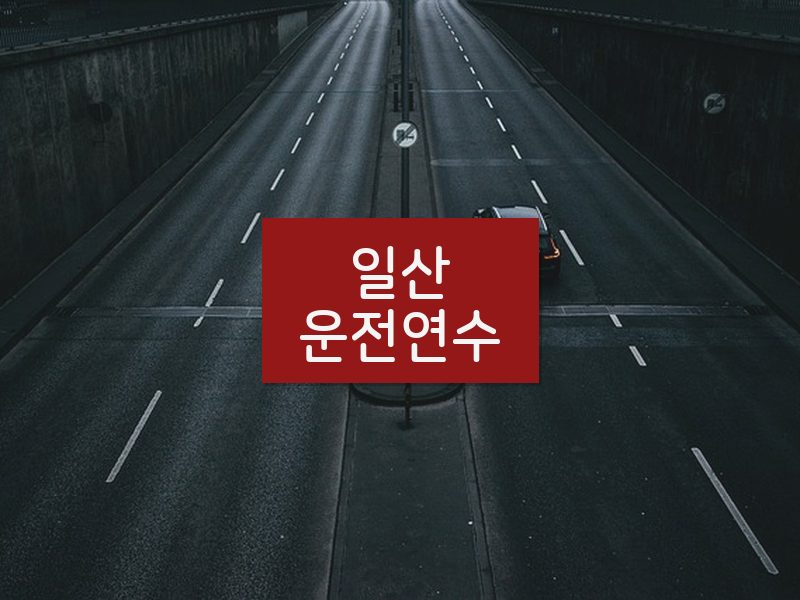 일산운전연수 후기