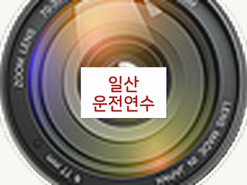 일산운전연수 후기