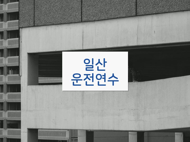 일산운전연수 후기