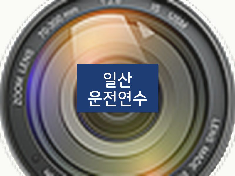 일산운전연수 후기