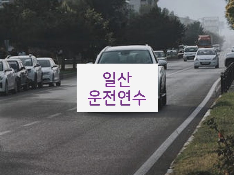 일산운전연수 후기