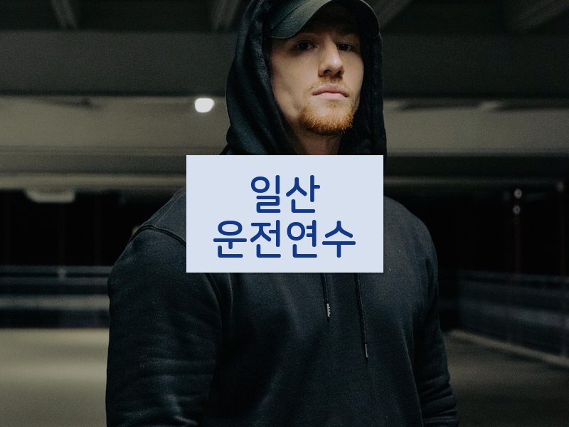 일산운전연수 후기